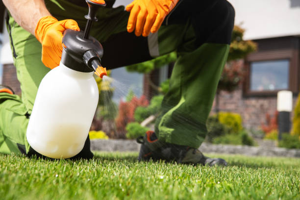 Pest Control for Restaurants in Carrizozo, NM