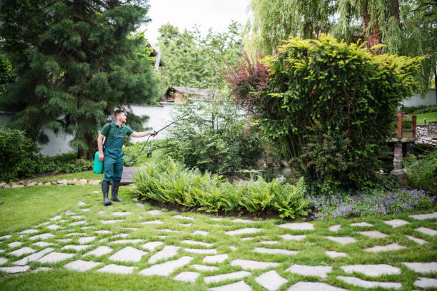 Best Commercial Pest Control Services  in Carrizozo, NM