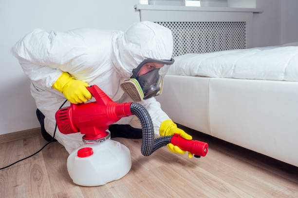 Best Wasp Removal Services  in Carrizozo, NM